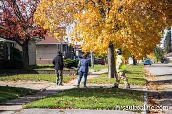Downed line closes west end street