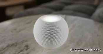 HomePod Mini vs. Amazon Echo vs. Nest Audio: Which smart speaker is best for 2020?     - CNET