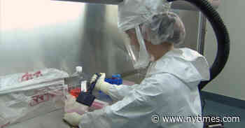 For 3 Filmmakers, Now Is the Best Time for a Coronavirus Documentary