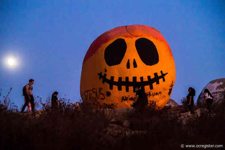 Halloween Boos!Letter: Happy Halloween and welcome to our newsletter