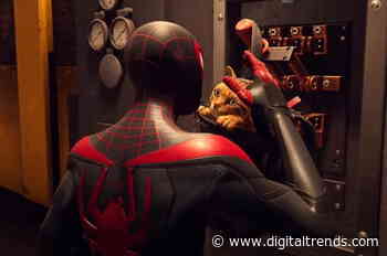 Spider-Cat is the best reason yet to get hyped for Spider-Man: Miles Morales