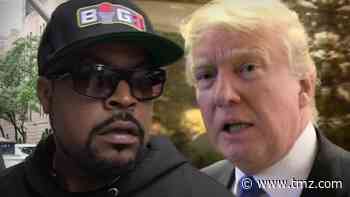 Ice Cube Clears Up Working with Trump on Contract with Black America