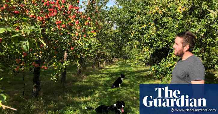 Big on apples: a cider (and perry) tour of Herefordshire