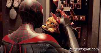 Spider-Man: Miles Morales features an adorable Spider-Cat sidekick     - CNET