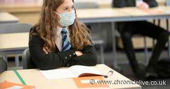 'Schools should now be closed' as coronavirus cases soar, survey reveals