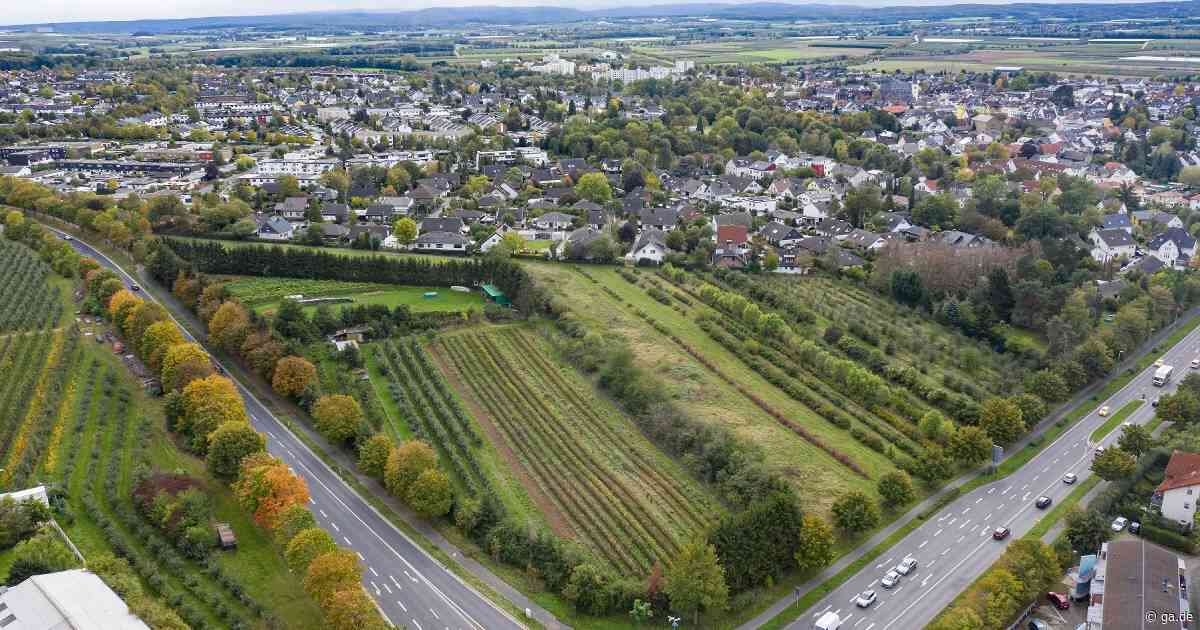 Neues Baugebiet in Meckenheim : Neuauflage für die „Weinberger Gärten“ - General-Anzeiger Bonn