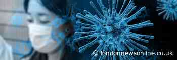 Hammersmith and Fulham council leader says capital at critical moment in fight against coronavirus - London News Online