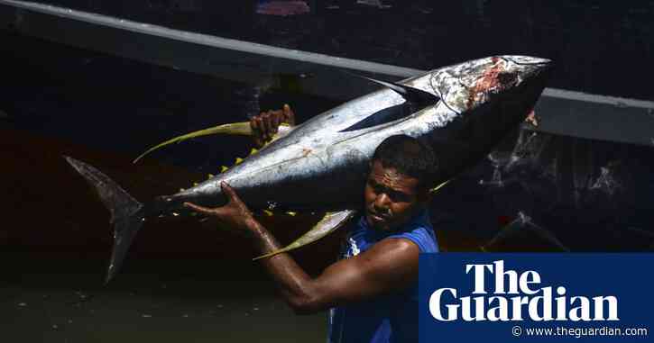 UK brands act to cut catch of 'near-threatened' yellowfin tuna
