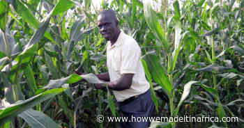 Soya beans, rice and maize: Ugandan entrepreneur explains how he built his agribusiness - How we made it in Africa