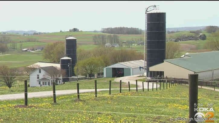 Problems On The Farm: Pandemic Impacting Dairy Farmers Ability To Move Product