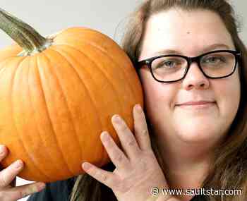 Pumpkins wanted