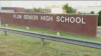 Two Plum High School Students Test Positive For Coronavirus
