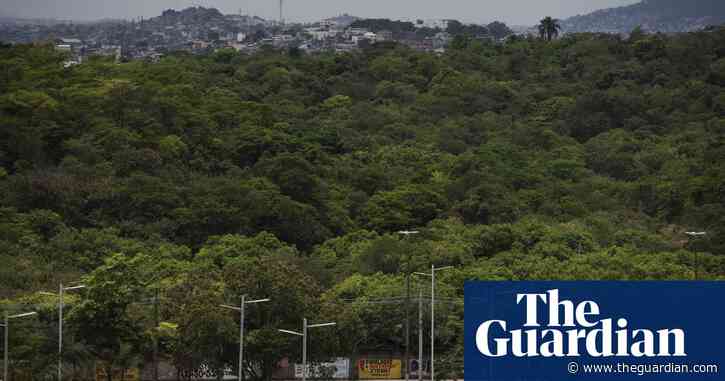 Rio F1 racetrack plans add fuel to Brazil deforestation row