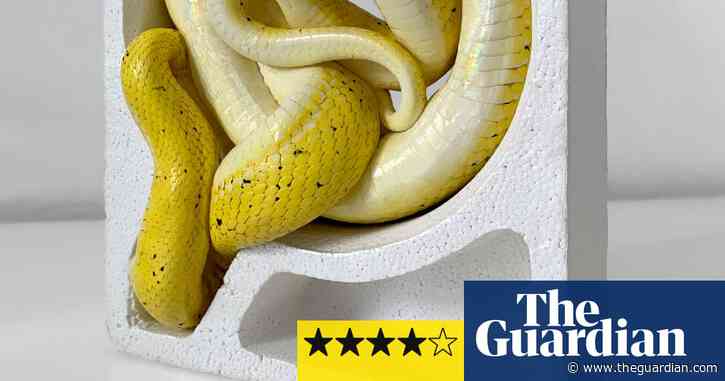 Polly Morgan: a gloriously nasty nest of vipers – review