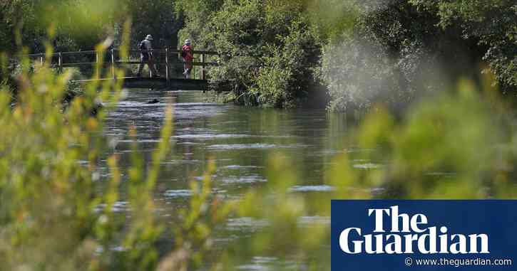 UK supermarket salad suppliers investigated over pesticides in rivers