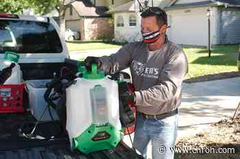 Pest control companies see uptick in business during pandemic