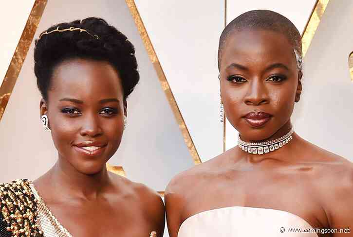 Americanah: Lupita Nyong’o & Danai Gurira Series Not Moving Forward at HBO Max