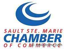 SSM Chamber of Commerce: Small business to big to ignore