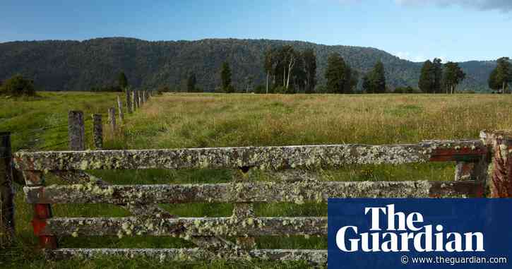'I love this country': US doctors head to New Zealand as cure for America's ills