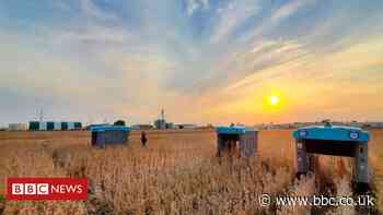 Google reveals Mineral crop-inspecting robots
