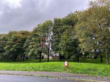 Hyndburn residents' bid to buy land from Blackburn with Darwen Council in row over ginormous trees