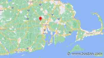 Dog walker struck, killed by vehicle in Rhode Island - Boston.com