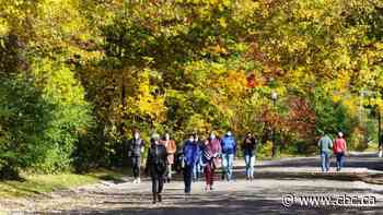 Can Quebec find a balance between a lockdown and freedom?