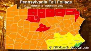 Pa. Forestry Bureau: Southwestern Pennsylvania To Reach Peak Foliage This Week