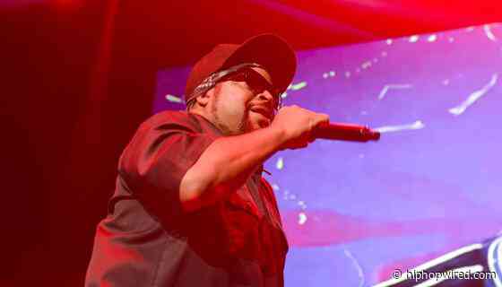 Ice Cube Clarifies Why He Met With President Donald Trump
