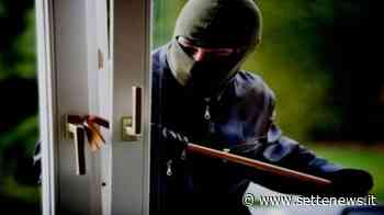 Ladri in azione a Samarate fuggono senza bottino: la casa non è vuota - Settenews