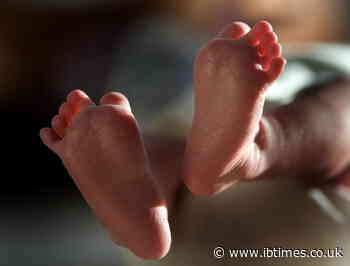 Infant shielded by mother's body becomes sole survivor of plane crash