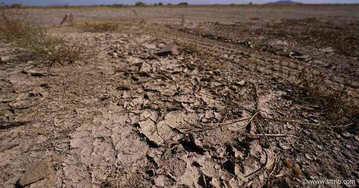 Nearly half of the U.S. is in drought. It may get worse.