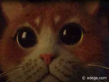 Agency Brief: It's raining cats and dogs