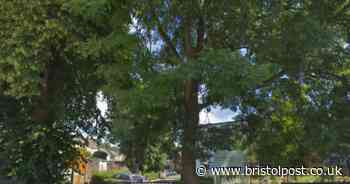 11 primary school staff and 60 pupils self-isolating