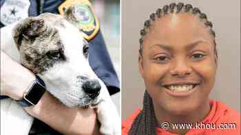 Houston woman arrested, accused of kicking dog in video that went viral - KHOU.com