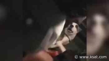 Houston woman seen kicking dog in viral video says it was self defense - KSAT San Antonio