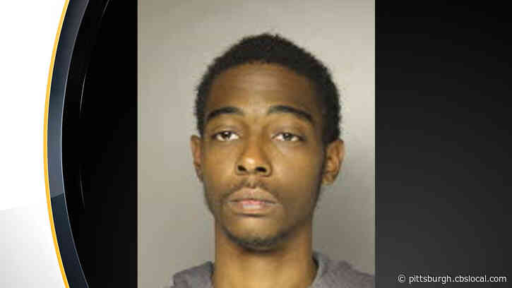 Monroeville Mall Shooting Suspect Turns Himself In To Police