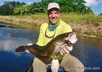 Now is a good time to fish for snakeheads in South Florida’s canals and lakes