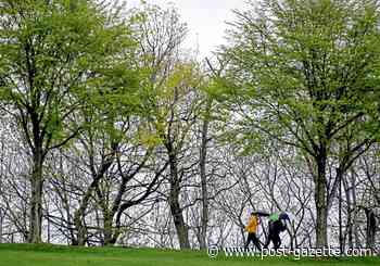 Clergy raises COVID concerns over outdoor worship, music event