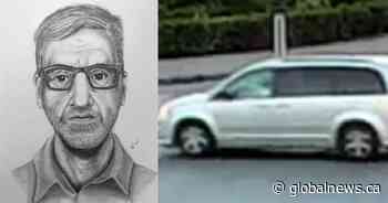 Sketch released in hit-and-run that left Abbotsford mother horrifically injured