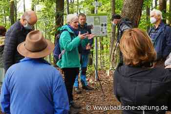 Archäologen führen BZ-Leser über historischen Pfad in Ehrenkirchen - Ehrenkirchen - Badische Zeitung