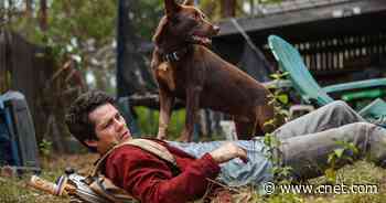 Love and Monsters review: A mixed bag of Dylan O'Brien and Zombieland     - CNET