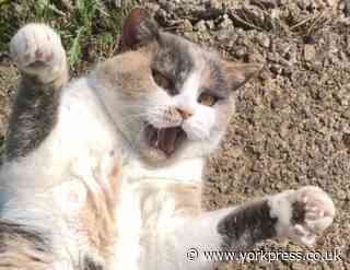 Jazz looks cross, but she's no sourpuss