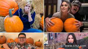 Celebrity Pumpkin Picks -- Gourd Lookin'!