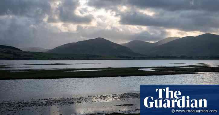 Country diary: wildfowlers threaten marsh and its wildlife