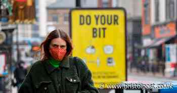 'Circuit breaker' lockdown proposed for every half term