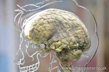 'Reversed brain' linked to lower social and communication abilities – study - St Helens Star