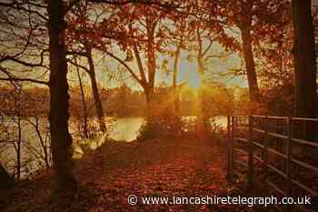 Seven of the best from the Lancashire Telegraph Camera Club