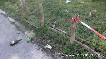 Campobasso, lavori e sfalcio dell'erba: sosta vietata in via Trotta - Primonumero