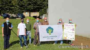 A Erba nasce il “Giardino delle Api” - CiaoComo